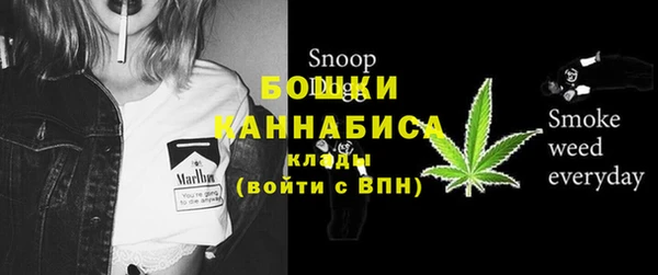 мдпв Лагань