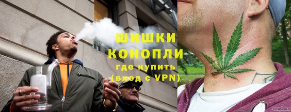 мдпв Лагань