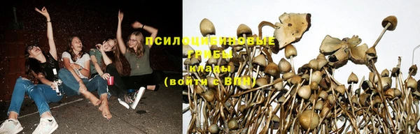 кокс Ладушкин