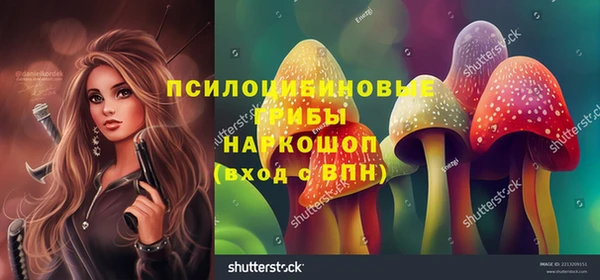 мдпв Лагань