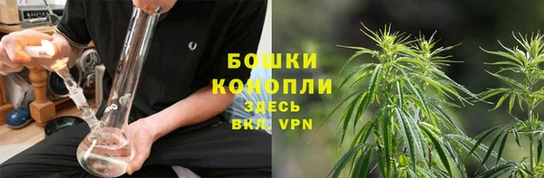 мдпв Лагань
