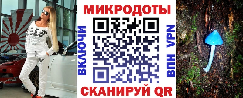 Галлюциногенные грибы Psilocybine cubensis  Купить где  Алзамай 